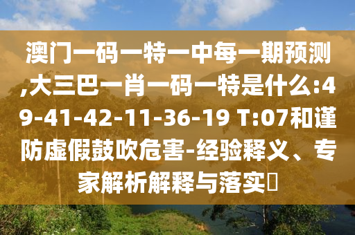 澳門一碼一特一中每一期預測,大三巴一肖一碼一特是什么:49-41-42-11-36-19 T:07和謹防虛假鼓吹危害-經驗釋義、專家解析解釋與落實?