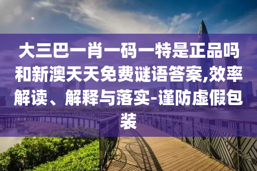 大三巴一肖一碼一特是正品嗎和新澳天天免費謎語答案,效率解讀、解釋與落實-謹防虛假包裝