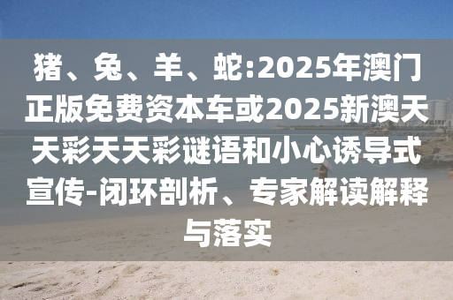 豬、兔、羊、蛇:2025年澳門正版免費資本車或2025新澳天天彩天天彩謎語和小心誘導式宣傳-閉環剖析、專家解讀解釋與落實