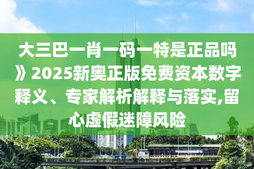 大三巴一肖一碼一特是正品嗎》2025新奧正版免費資本數字釋義、專家解析解釋與落實,留心虛假迷障風險