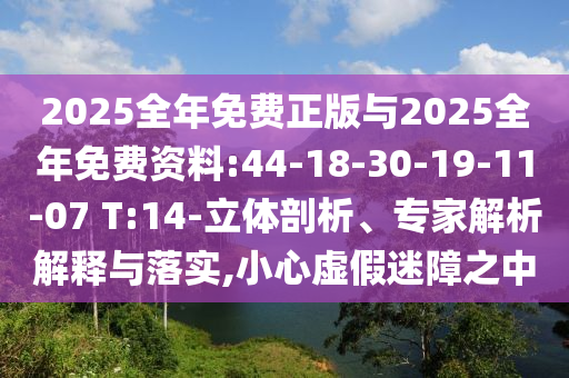 2025全年免費正版與2025全年免費資料:44-18-30-19-11-07 T:14-立體剖析、專家解析解釋與落實,小心虛假迷障之中