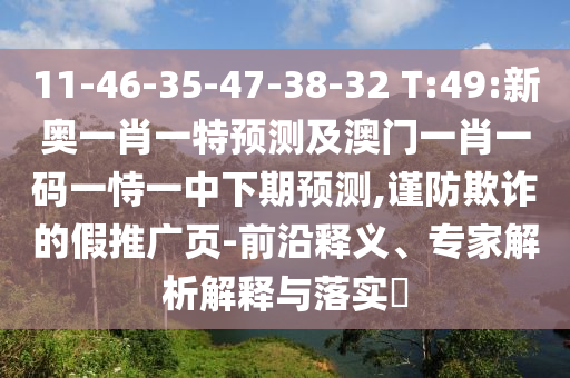 11-46-35-47-38-32 T:49:新奧一肖一特預(yù)測(cè)及澳門(mén)一肖一碼一恃一中下期預(yù)測(cè),謹(jǐn)防欺詐的假推廣頁(yè)-前沿釋義、專(zhuān)家解析解釋與落實(shí)?
